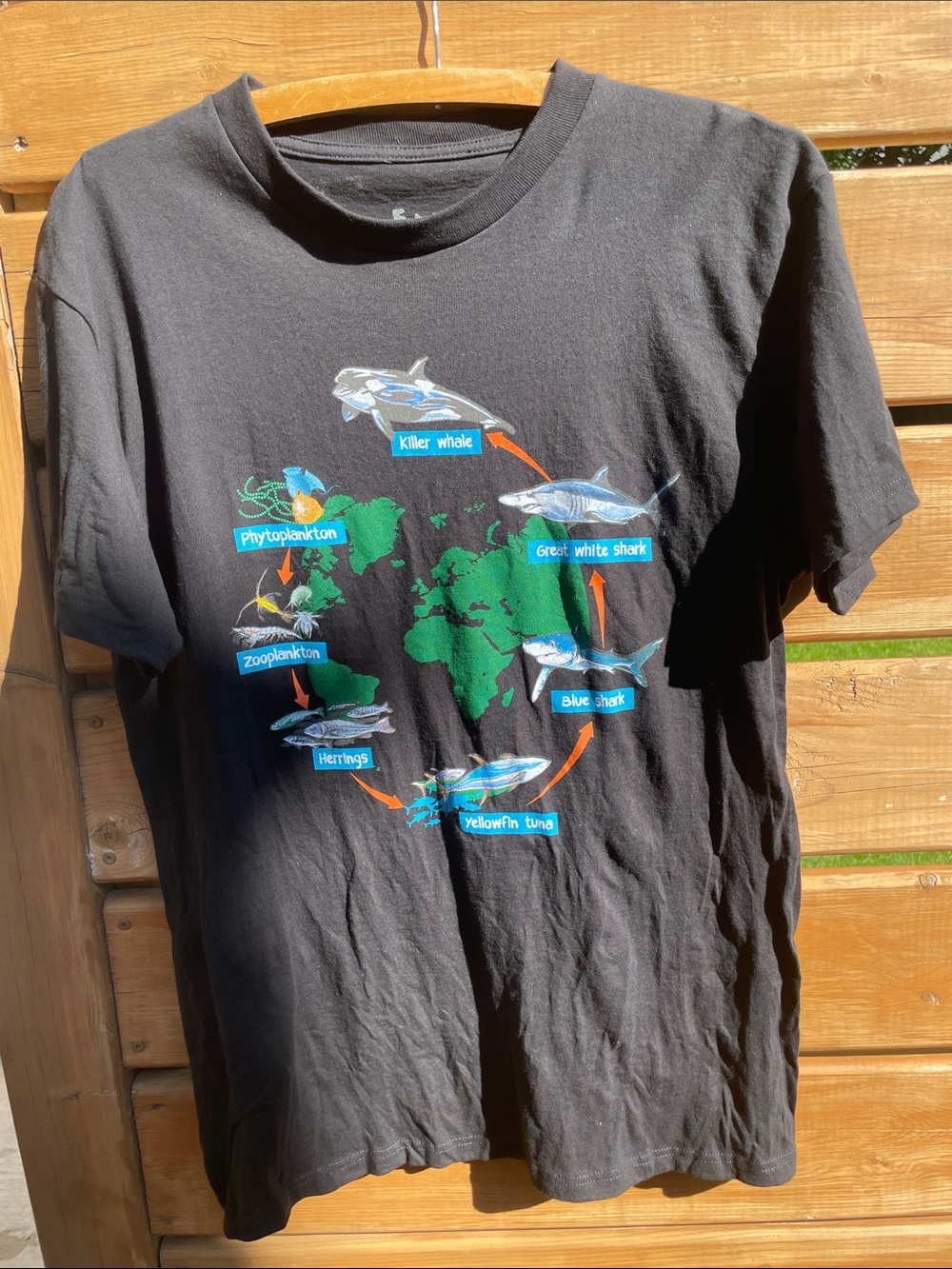 Friday J.R. Marine Biology Food Chain T-Shirt - Medium